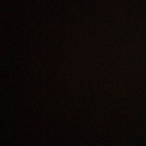 Meet your Posher, Peyton